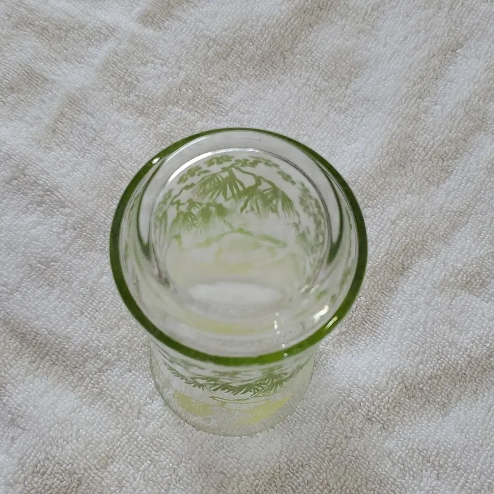 Libbey Green Vintage Floral Glass Cup